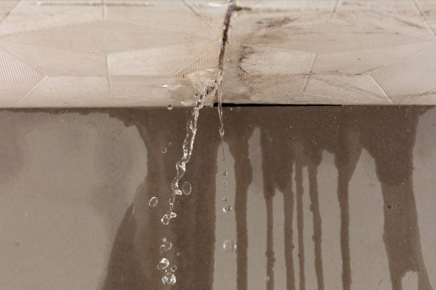 Professional Structural Drying technician working in Strawn, TX